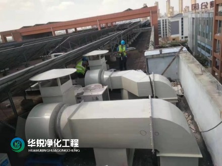 1733217951792600.jpg 22.jpg