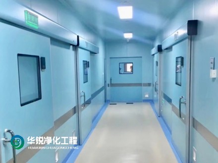 1735890177203654.jpg 20.jpg